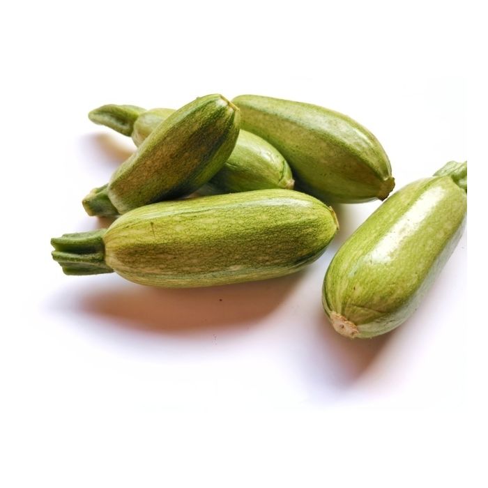 Zucchino Bolognese (verde chiaro) - Vaschetta 4 piantine