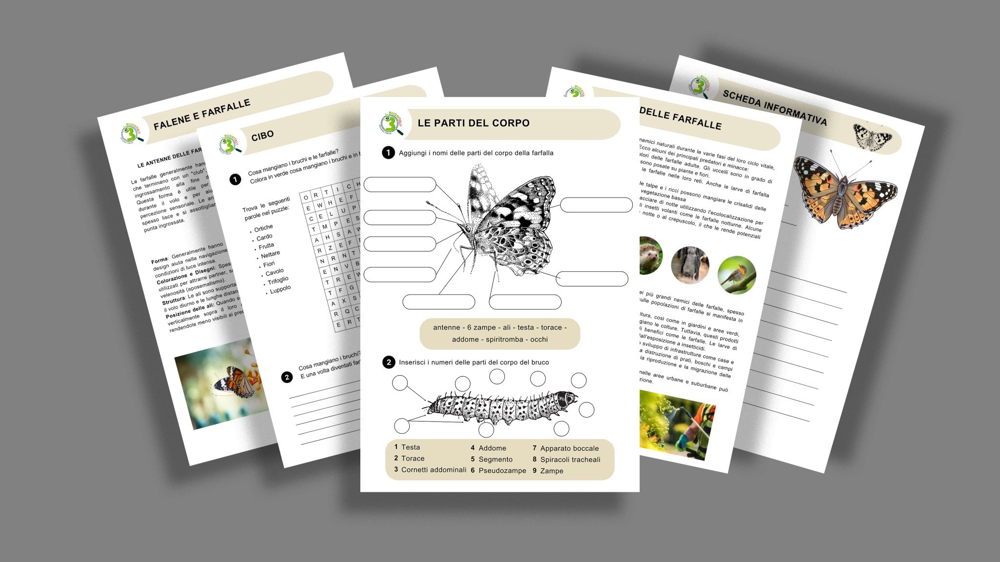 Agripet Garden - Vanessa Cardui Butterfly Kit