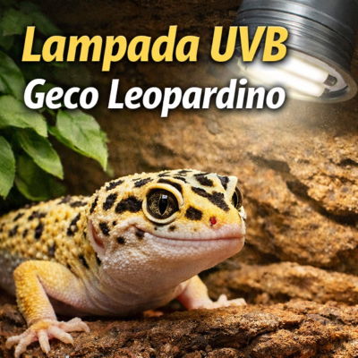 Lampada UVB per Geco Leopardino: serve davvero? guida chiara e senza errori