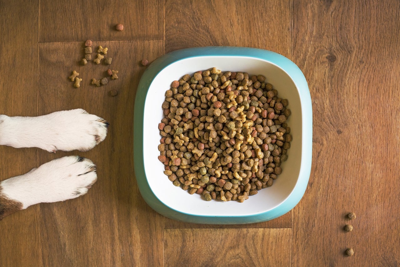 Cibo secco per cani