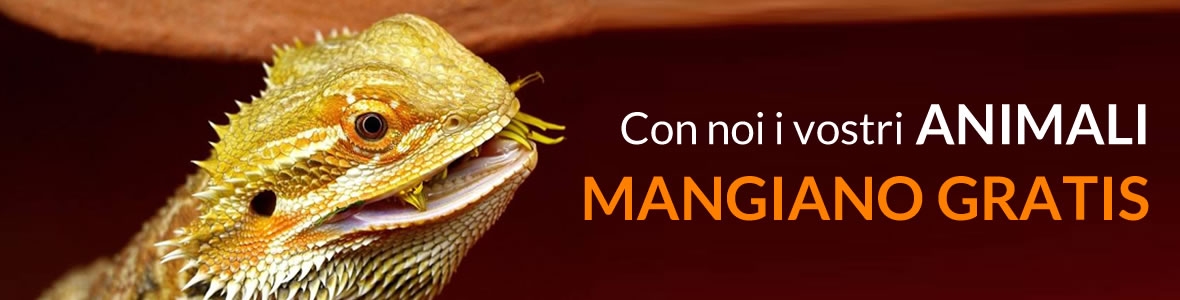CON NOI I VOSTRI ANIMALI MANGIANO GRATIS !!