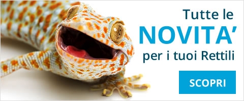 Tutte le Novità per i vostri rettili