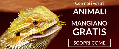 con noi i vostri animali mangiano gratis