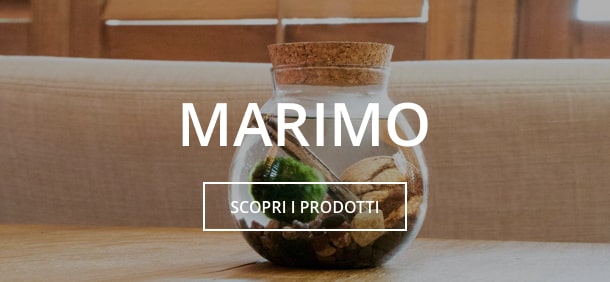 marimo