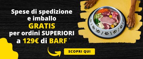 novità reparto surgelato